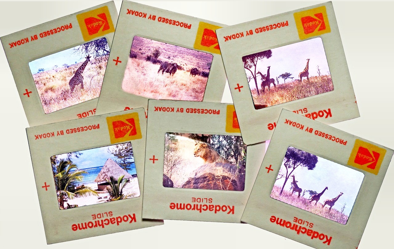 Diafilm fotografieren